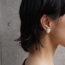 画像をギャラリービューアに読み込む, aardekleur イヤリングB