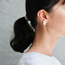 画像をギャラリービューアに読み込む, aardekleur ピアスA