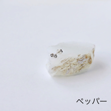 画像をギャラリービューアに読み込む, CHIZURU NAGAOKA _ 2colors_earring ごま塩 / ペッパー
