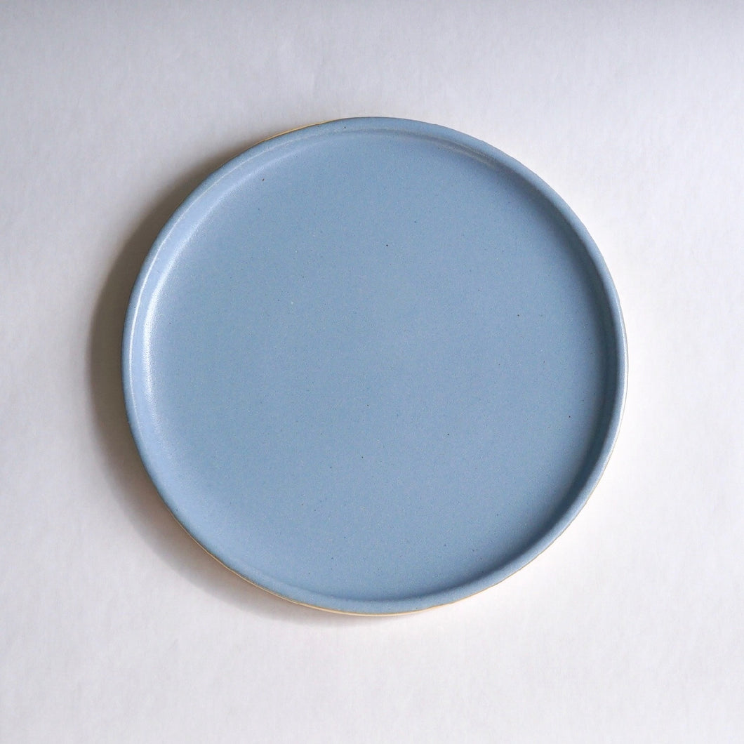 aardekleur　20cm plate B